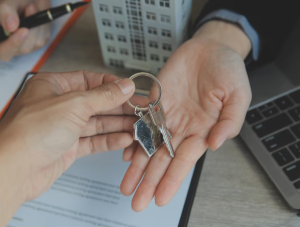 /liferay/image/image_gallery?uuid=66f5a1f9-611d-4658-b01e-155bc5878ae5&groupId=2289837&t=1750925416002