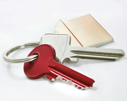 /liferay/image/image_gallery?uuid=40648b1b-c2eb-4ee3-b78a-abcb522f30c6&groupId=2289837&t=1681314187797